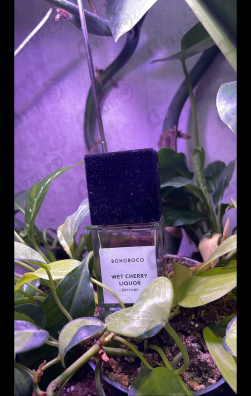 Парфюмерия Wet Cherry Liquor от Bohoboco