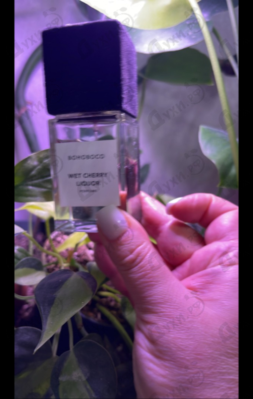 Парфюмерия Wet Cherry Liquor от Bohoboco