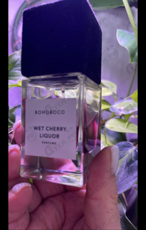 Купить Bohoboco Wet Cherry Liquor