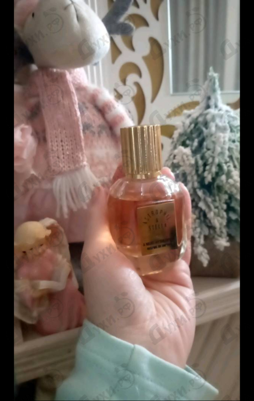 Парфюмерия A Night At The Opera от Astrophil & Stella