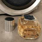 Отзыв Astrophil & Stella Into The Oud