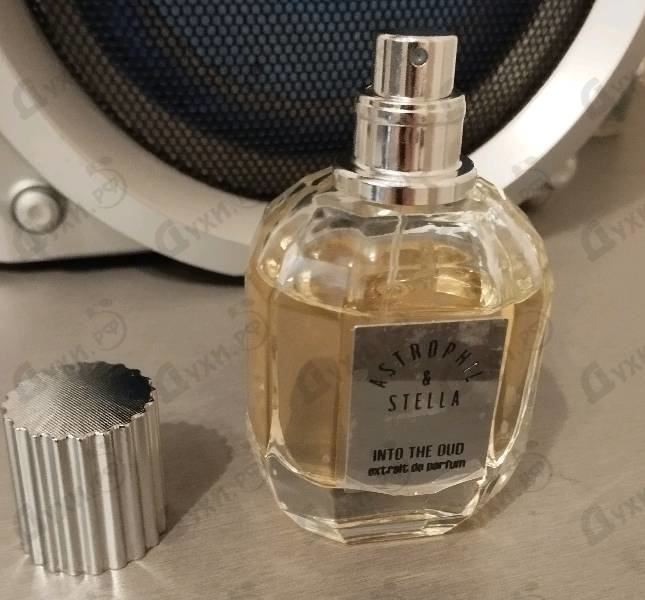 Парфюмерия Into The Oud от Astrophil & Stella
