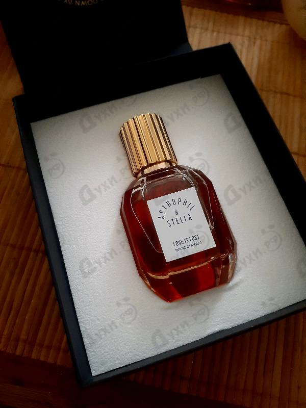 Духи Astrophil & Stella Love Is Lost Духи Love Is Lost от Astrophil & Stella