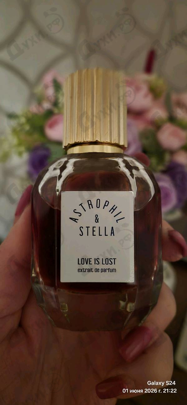 Отзывы Astrophil & Stella Love Is Lost