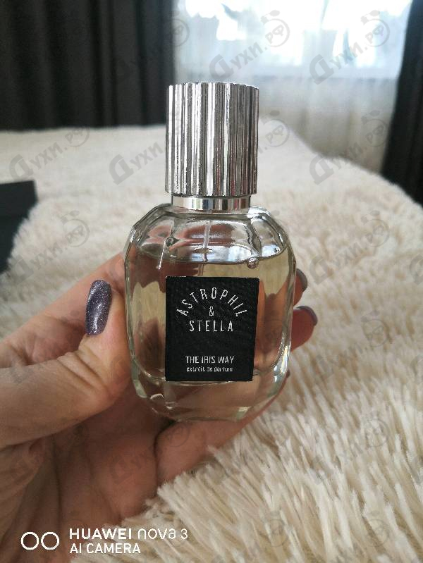 Парфюмерия The Iris Way от Astrophil & Stella