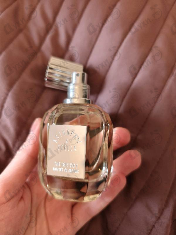 Парфюмерия The Iris Way от Astrophil & Stella