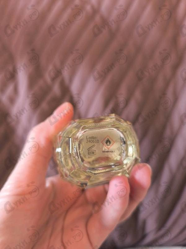 Духи The Iris Way от Astrophil & Stella