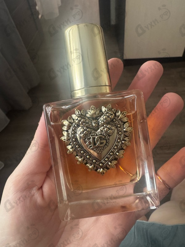 Купить Dolce & Gabbana Devotion