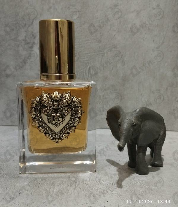 Купить Dolce & Gabbana Devotion