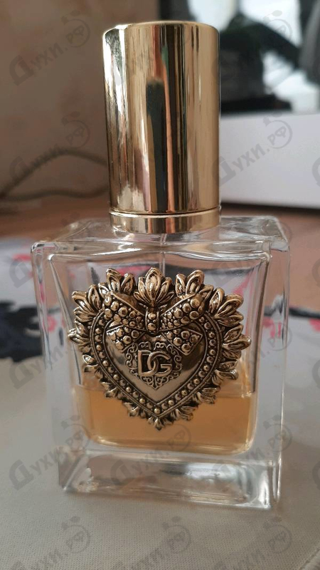 Купить Dolce & Gabbana Devotion