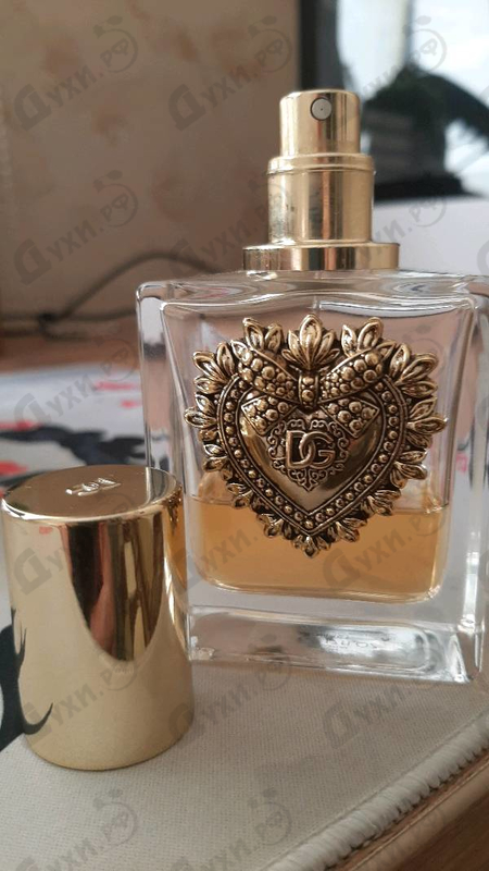 Парфюмерия Devotion от Dolce & Gabbana