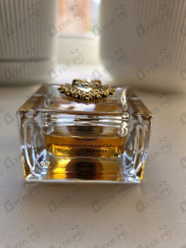 Купить Dolce & Gabbana Devotion