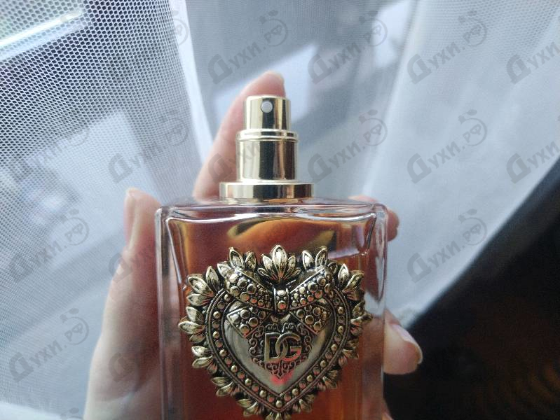Купить Dolce & Gabbana Devotion