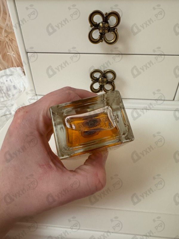 Купить Devotion от Dolce & Gabbana