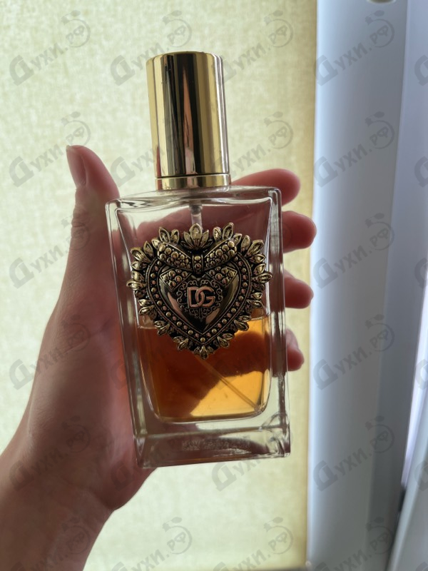 Купить Devotion от Dolce & Gabbana