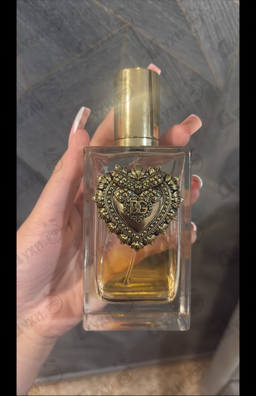 Парфюмерия Devotion от Dolce & Gabbana
