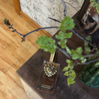 Отзывы Dolce & Gabbana Devotion