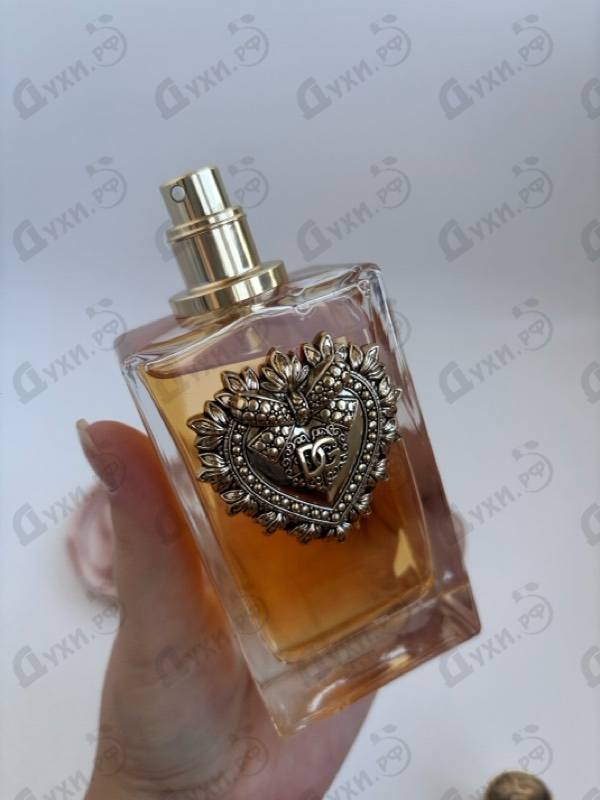 Купить Dolce & Gabbana Devotion