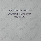 Парфюм Dolce & Gabbana Devotion