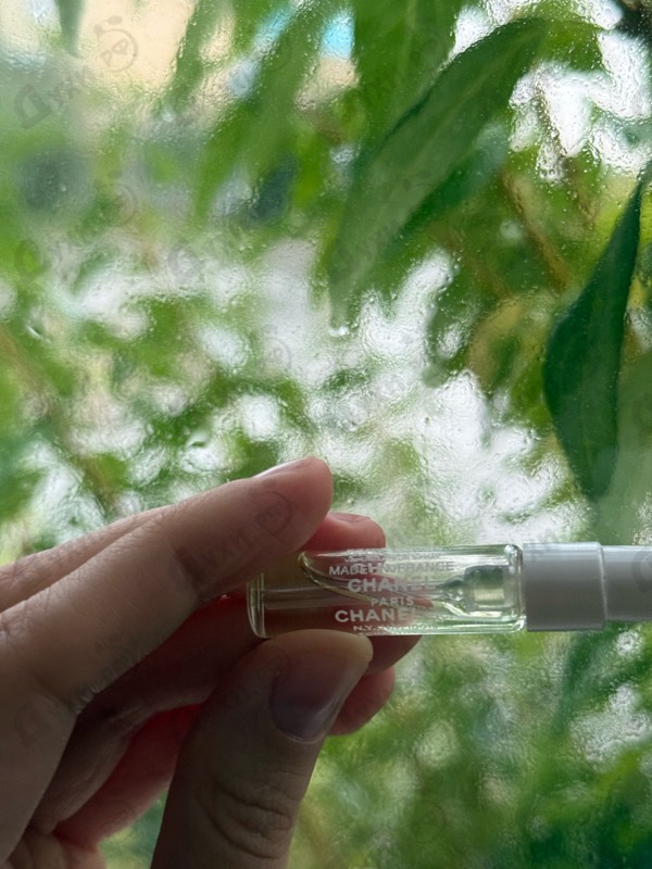 Парфюмерия Chanel Chance Eau Fraiche Eau De Parfum