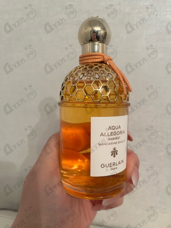 Духи Mandarine Basilic Harvest от Guerlain