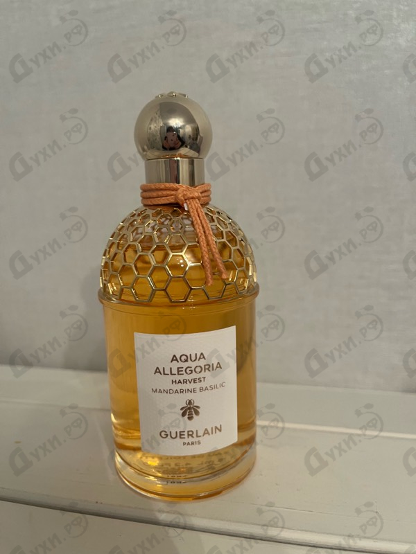 Парфюмерия Mandarine Basilic Harvest от Guerlain