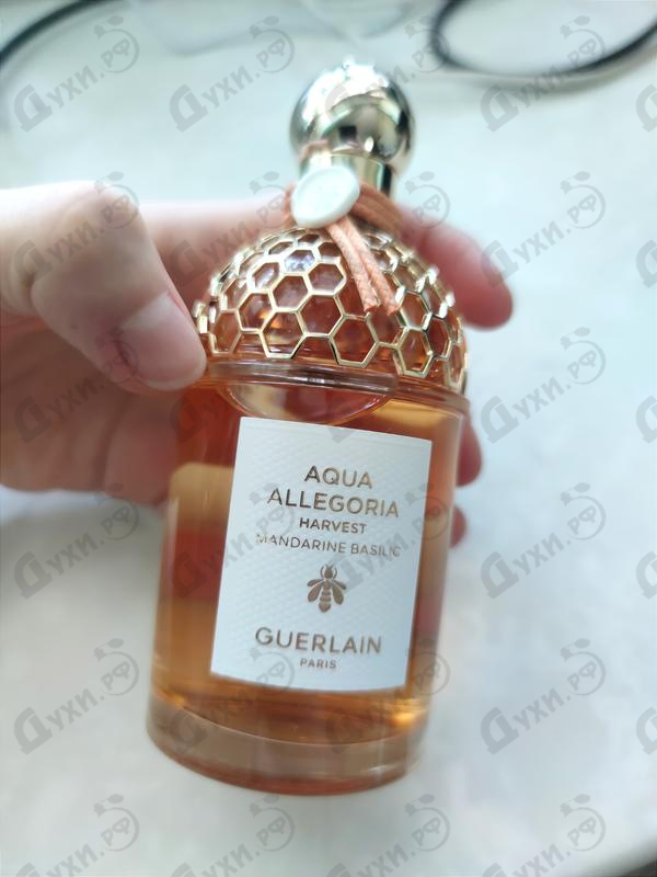 Купить Mandarine Basilic Harvest от Guerlain