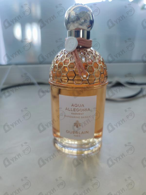 Купить Guerlain Mandarine Basilic Harvest