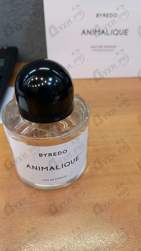 Купить Animalique от Byredo Parfums