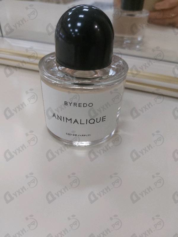 Купить Animalique от Byredo Parfums