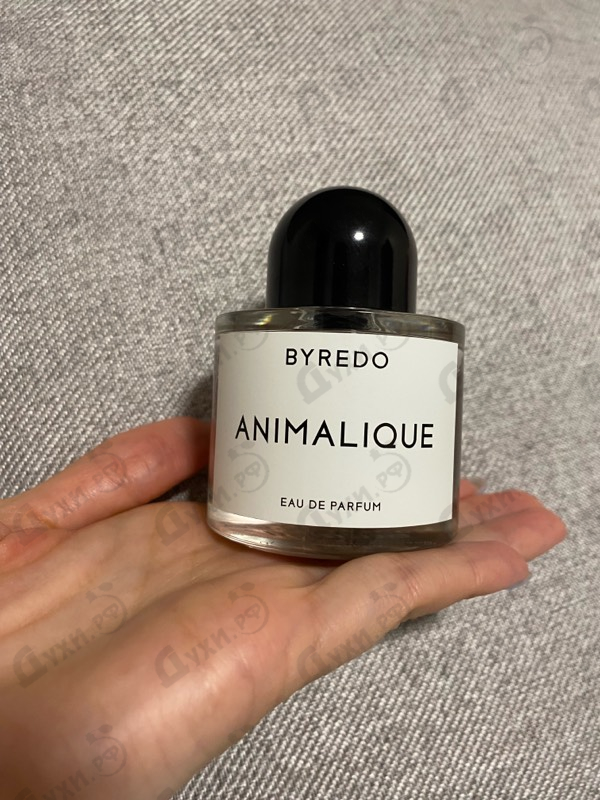 Парфюмерия Animalique от Byredo Parfums