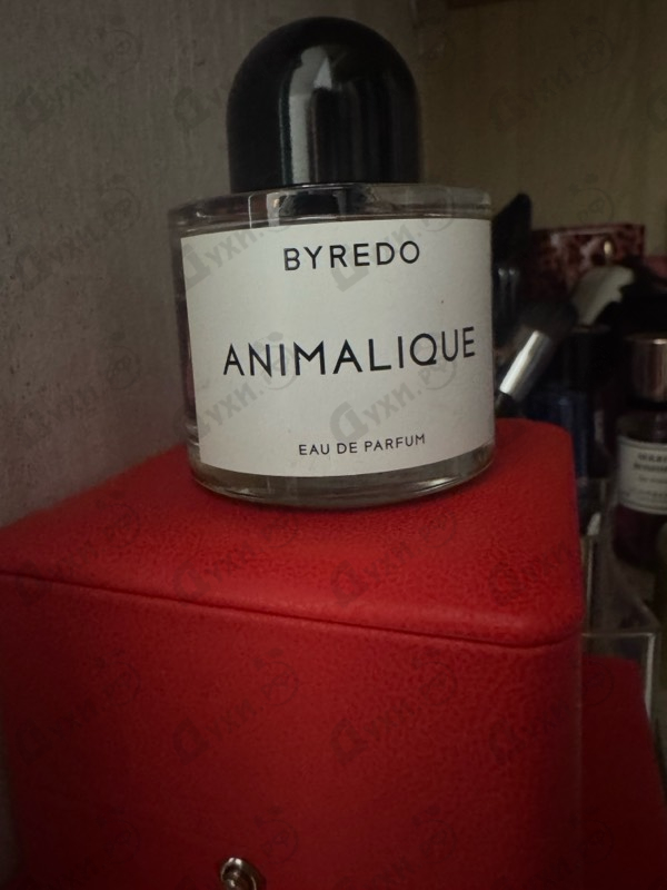 Купить Animalique от Byredo Parfums