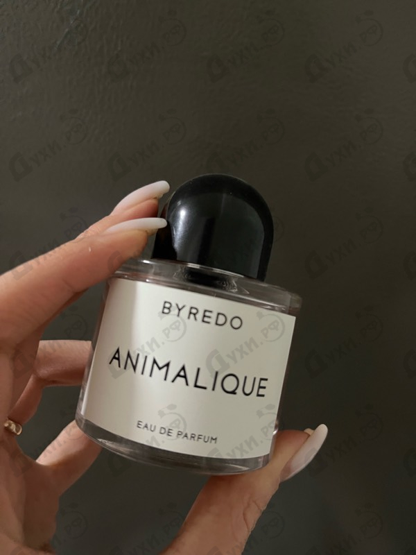 Парфюмерия Animalique от Byredo Parfums