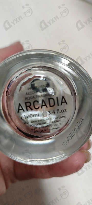 Купить Eternal от Arcadia