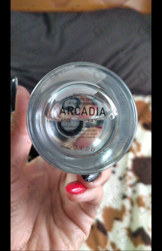 Купить Eternal от Arcadia