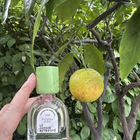 Отзыв Le Jardin Retrouve Verveine D'Ete