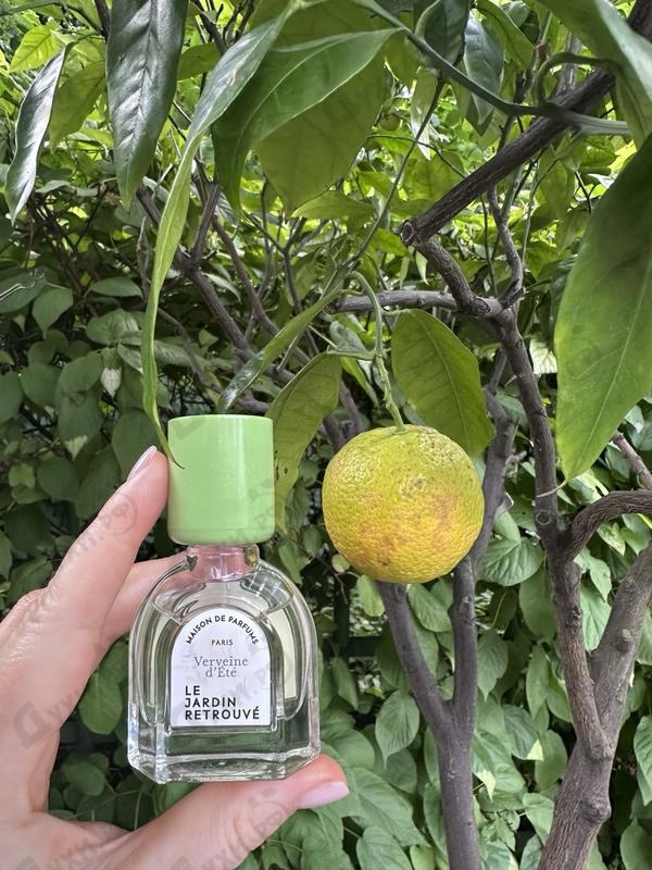 Духи Verveine D'Ete от Le Jardin Retrouve
