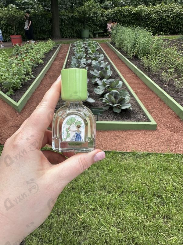 Отзыв Le Jardin Retrouve Verveine D'Ete