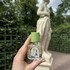 Купить Le Jardin Retrouve Verveine D'Ete