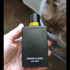 Отзыв John Richmond Acid Bomb