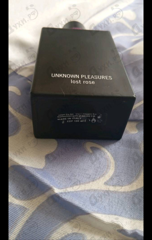 Купить Lost Rose от John Richmond