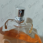 Отзывы Gloria Vanderbilt Miss Vanderbilt