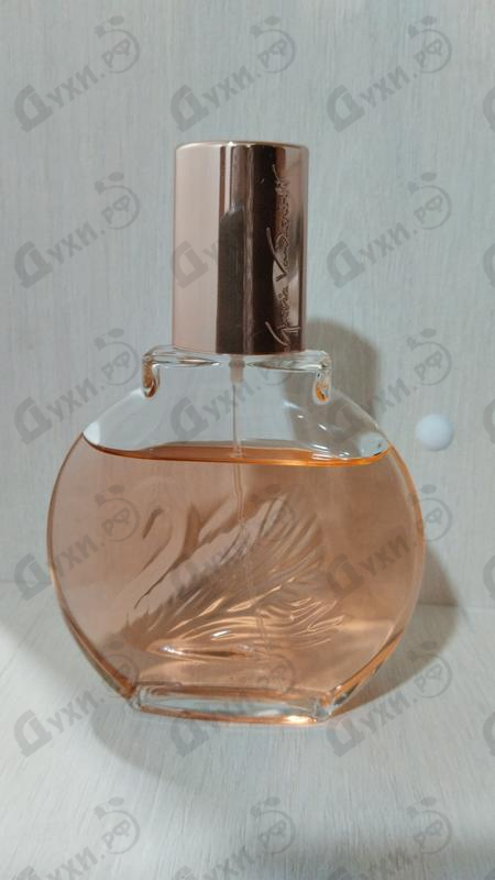 Купить Gloria Vanderbilt Miss Vanderbilt