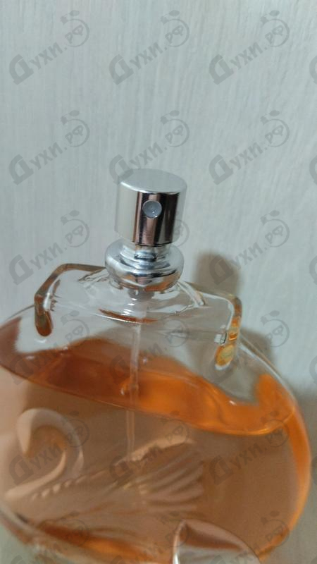 Парфюмерия Miss Vanderbilt от Gloria Vanderbilt