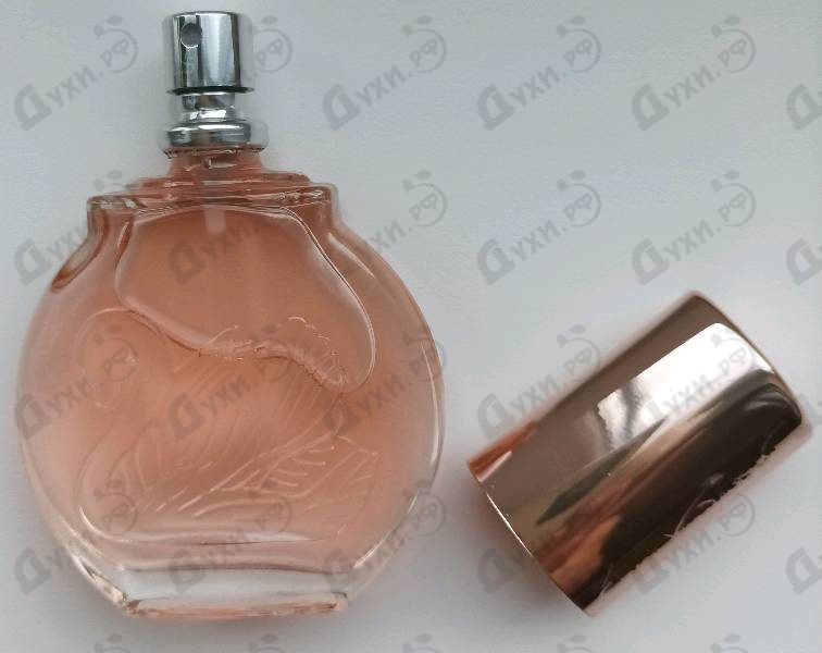 Купить Gloria Vanderbilt Miss Vanderbilt Духи Miss Vanderbilt от Gloria Vanderbilt