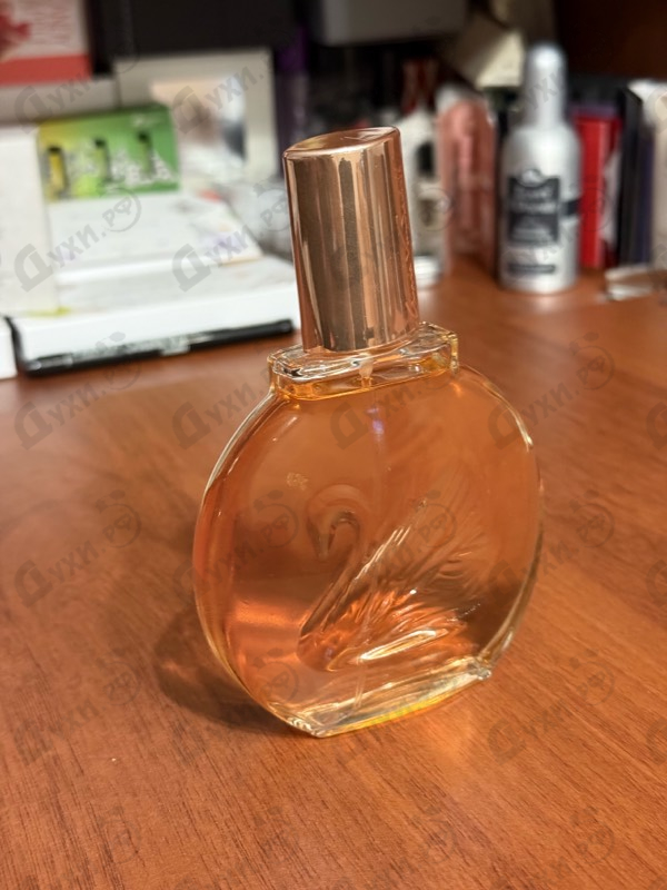 Отзыв Gloria Vanderbilt Miss Vanderbilt