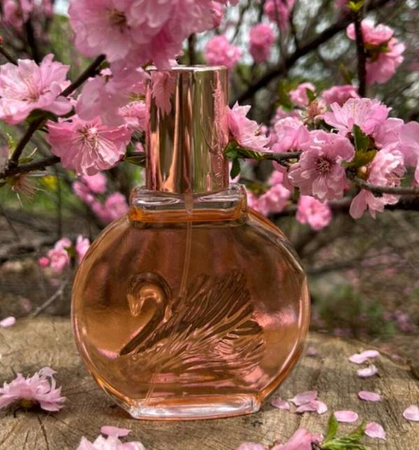 Отзывы Gloria Vanderbilt Miss Vanderbilt