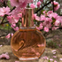 Парфюмерия Miss Vanderbilt от Gloria Vanderbilt Отзывы Gloria Vanderbilt Miss Vanderbilt