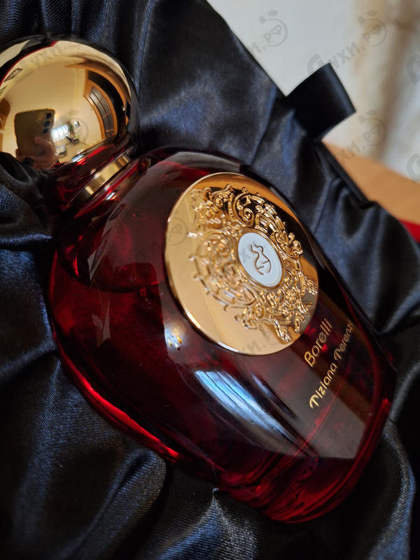 Купить Tiziana Terenzi Borelli