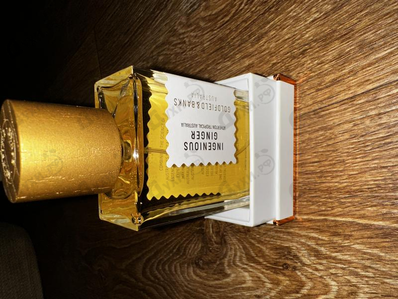 Купить Goldfield & Banks Australia Ingenious Ginger
